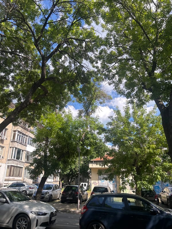 Quiet Varna neighborhood on a sunny afternoon
