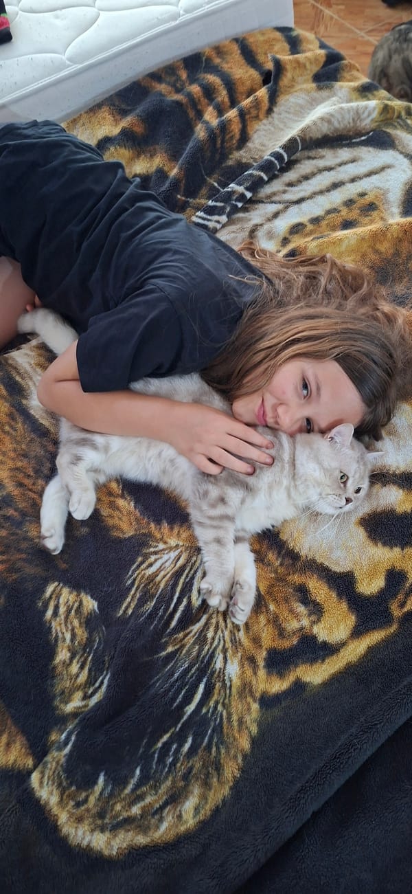 Cat lounges on chest during a quiet morning rest