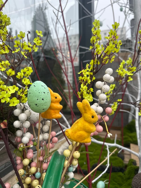 Riga resident documents unique interior design and restaurant meal