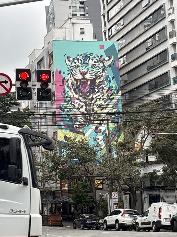 São Paulo street murals and a dense music memorabilia shop