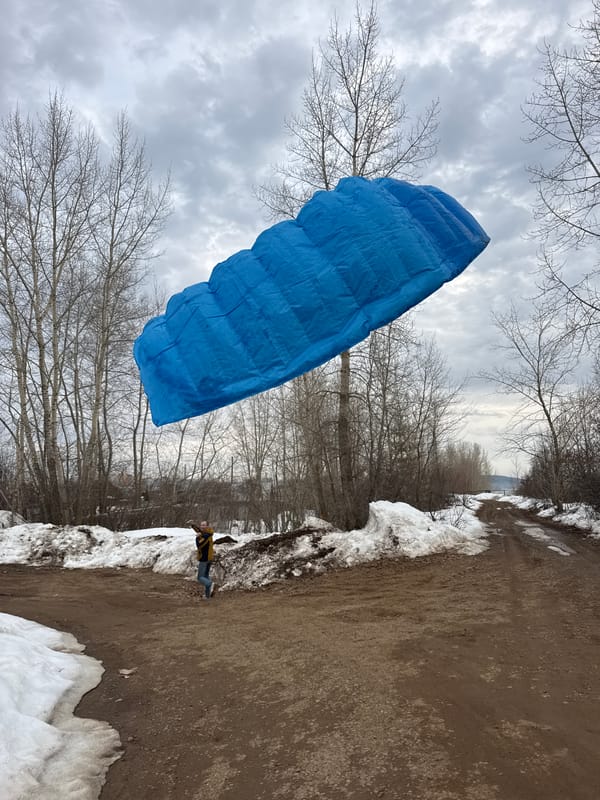 Large blue inflated object spotted in Chaikovsky park