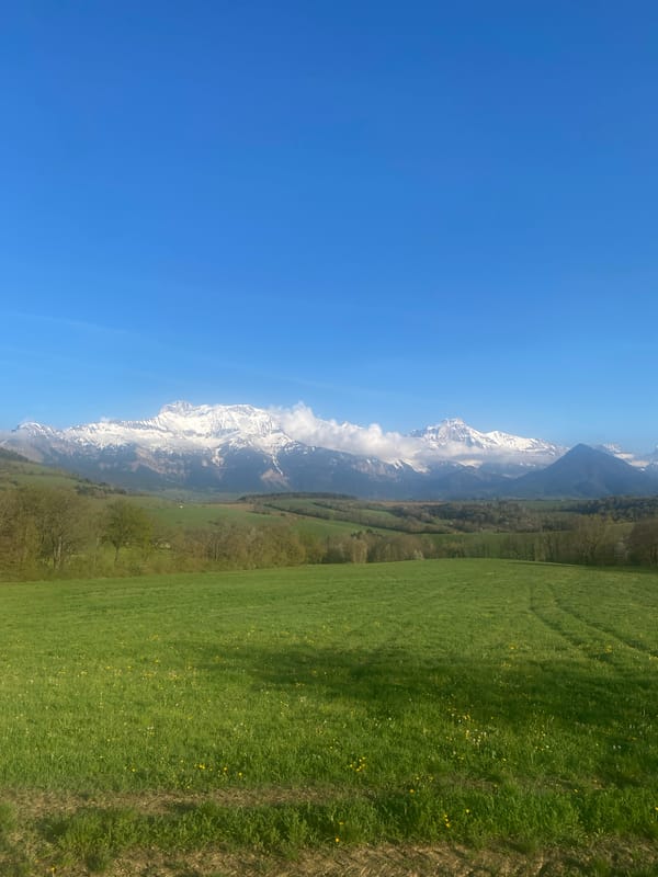 Person photographed in alpine field near Cornillon-en-Trièves, France