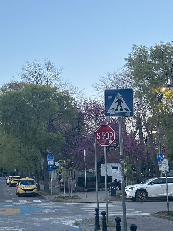 Evening street life documented in Varna's commercial district