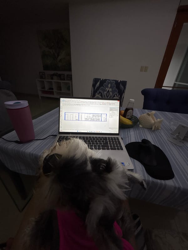 Schnauzer rests near laptop with architectural plans in Mexico