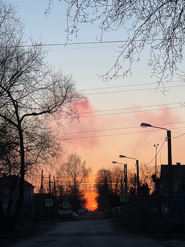 Twilight sky gradient captured over bare trees in Berezniki