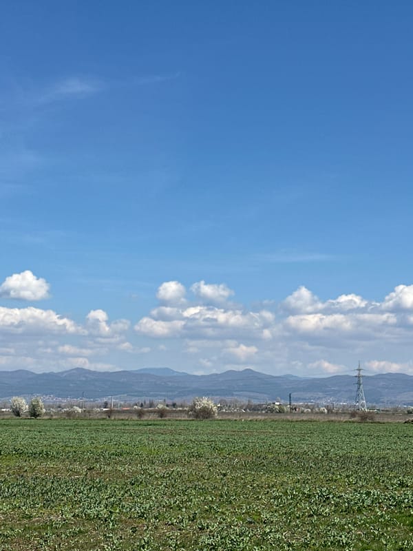 Morning scenes in Sofia: dog plays in fields, energy drinks on table