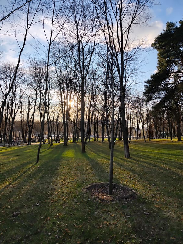 Afternoon park life documented in Ramenskoye, Russia