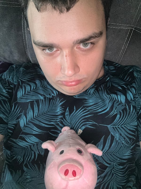 Lazy afternoon of self-portraits with odd angles and a stuffed pig