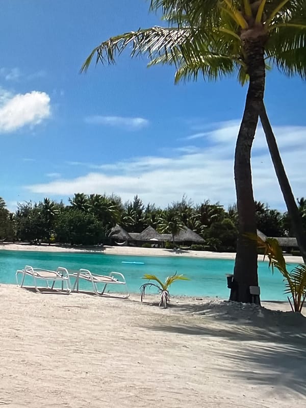 Journey from highway to tropical resort documented