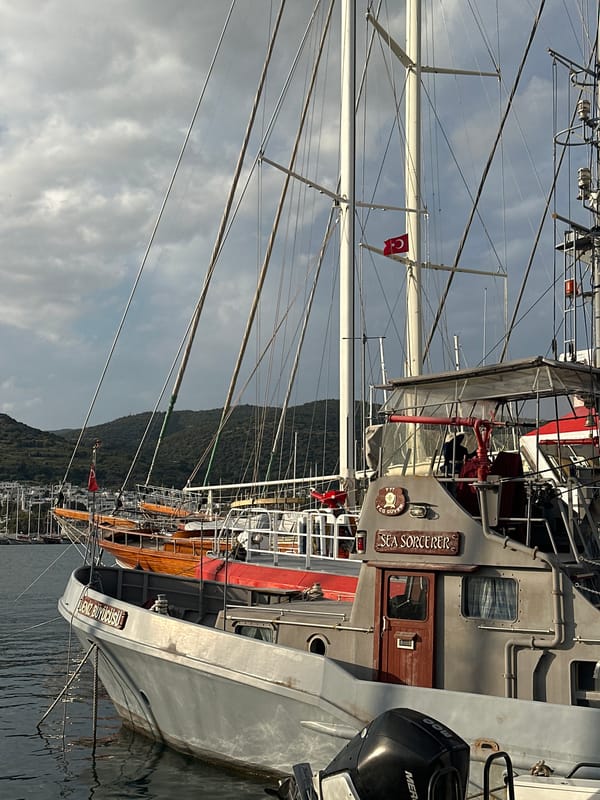 Bodrum harbor and historic castle documented by witnesses