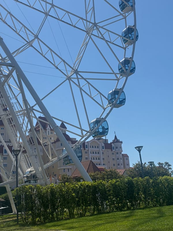 Ferris wheel begins operation in Sirius, Russia