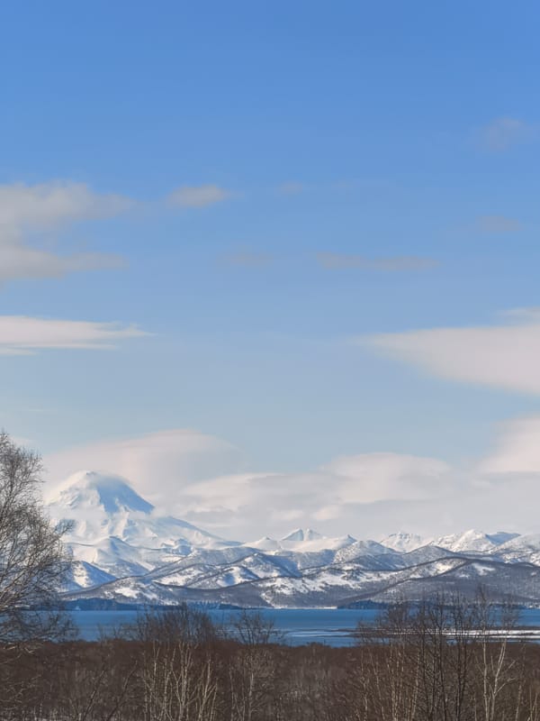 Snow-capped mountain dominates urban landscape with residential buildings
