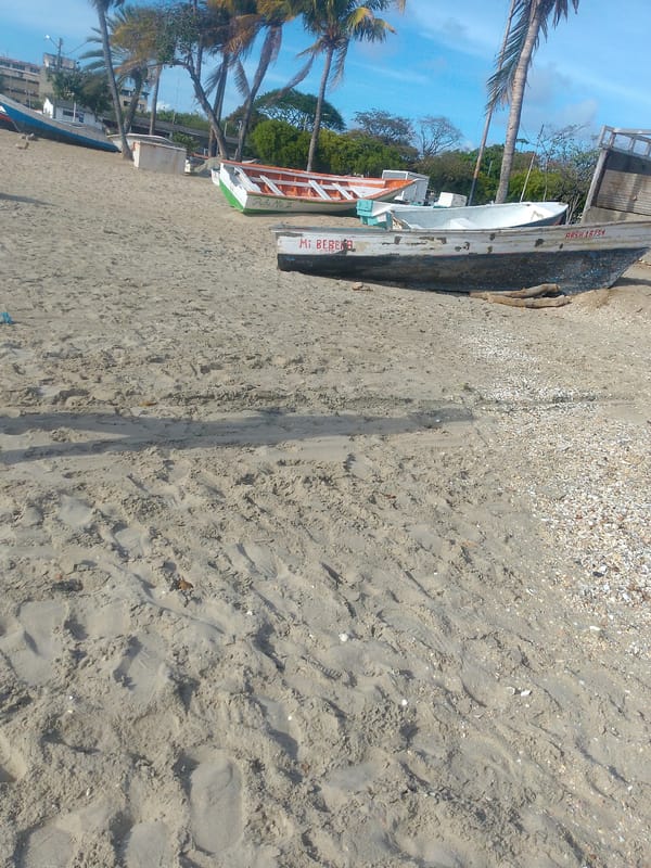 Evening beach life captured in Juan Griego, Venezuela