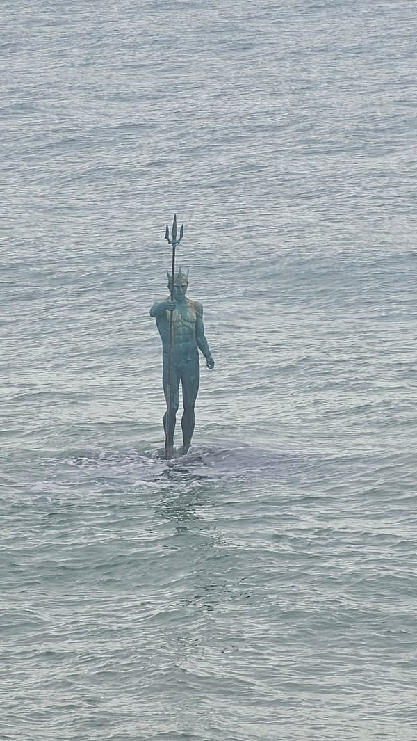 Cats spotted along Varna Sea Garden promenade during afternoon stroll