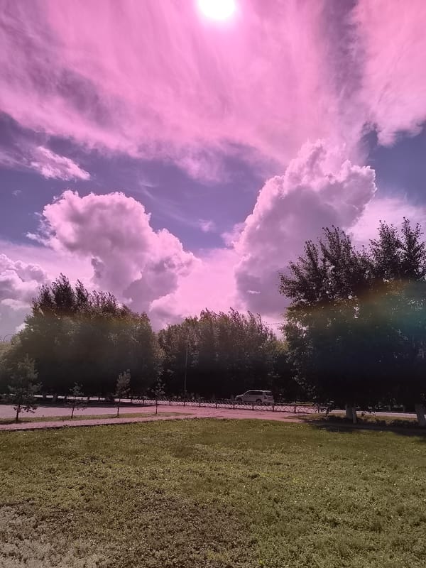 Morning light over a city park with vivid skies