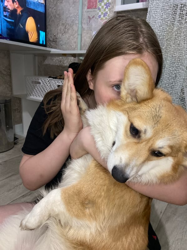 Quiet afternoon with pets in Russian home