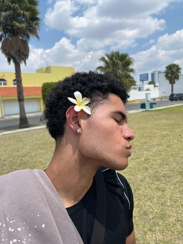 Spring plumeria blooms documented in Mexican residential area