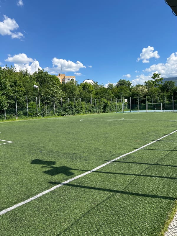 Urban scenes document roses, playgrounds, sports fields in unidentified city