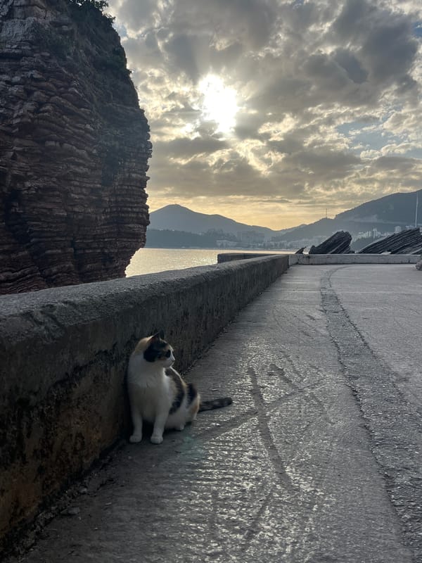 Casual afternoon moments captured around Bečići beaches, Montenegro