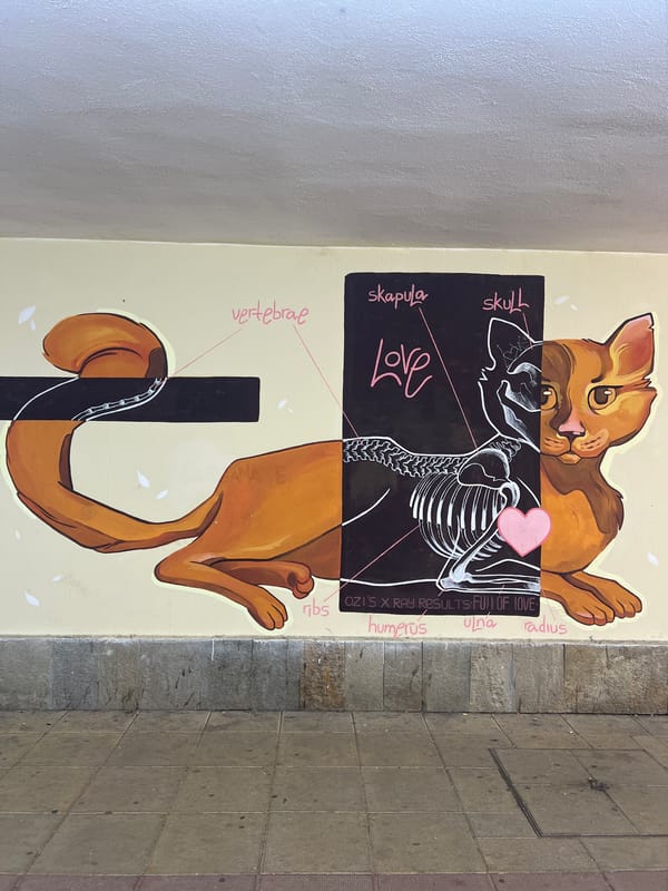 Live guitar and street art share a Sofia underpass