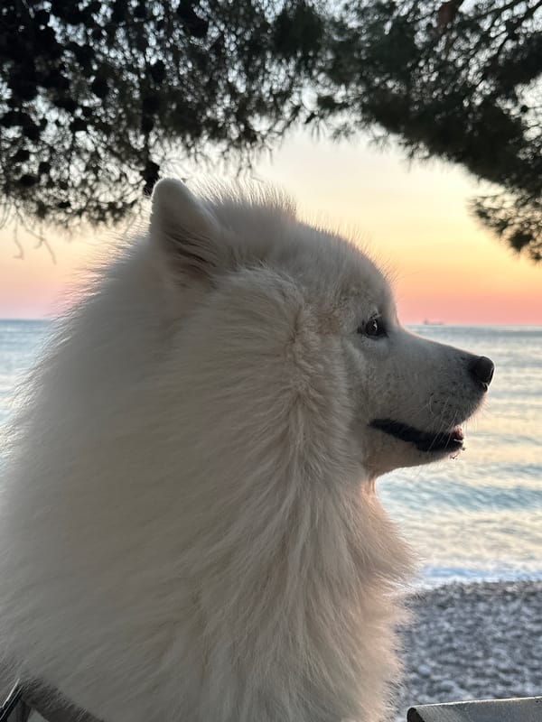 Casual weekend moments captured in coastal Montenegro town