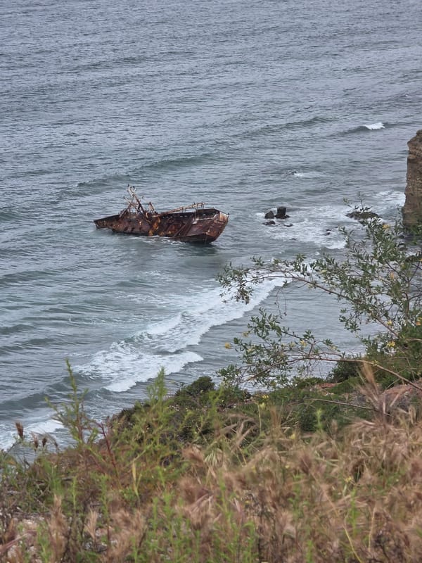 Shipwreck spotted in turbulent waters near Ensenada riverbank