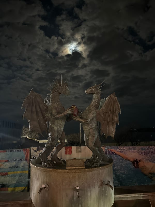 Bronze dragon monument photographed under moonlit sky in Varna