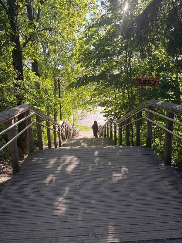 Sunlit wooden stairs captured in green Espoo neighborhood