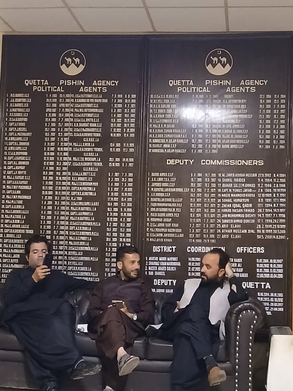 Rainy day street scenes and pine trees documented in Quetta