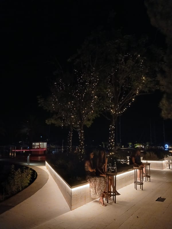 Dinner night out at Porto Montenegro marina