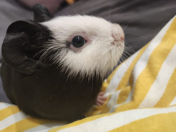 Domestic life moments captured in Votkinsk home