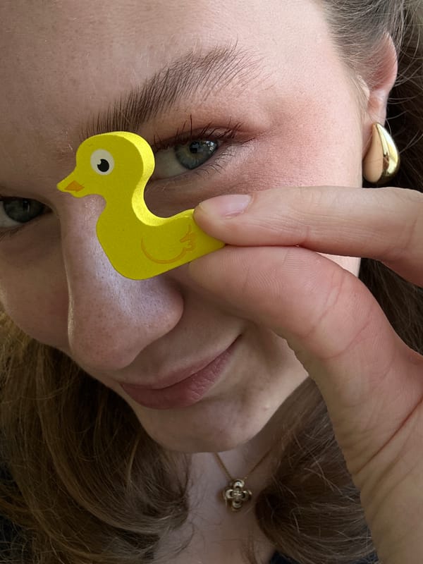 Person plays with wooden duck puzzle toys in Kazan