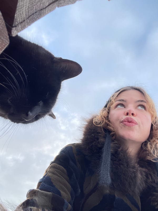 Winter day visitors document snowy Belgrade parks and fortress