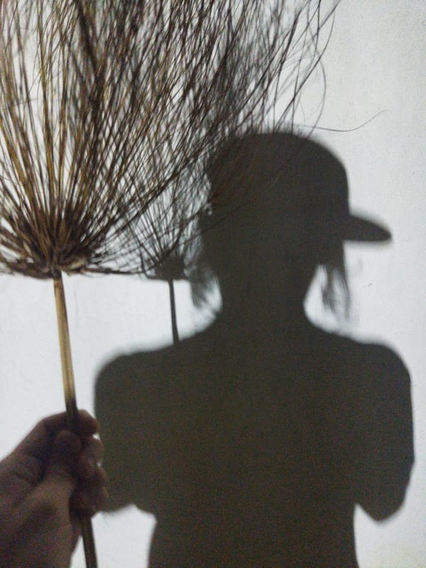 Evening moments captured in Tinaquillo: sunlit trees and playful dogs