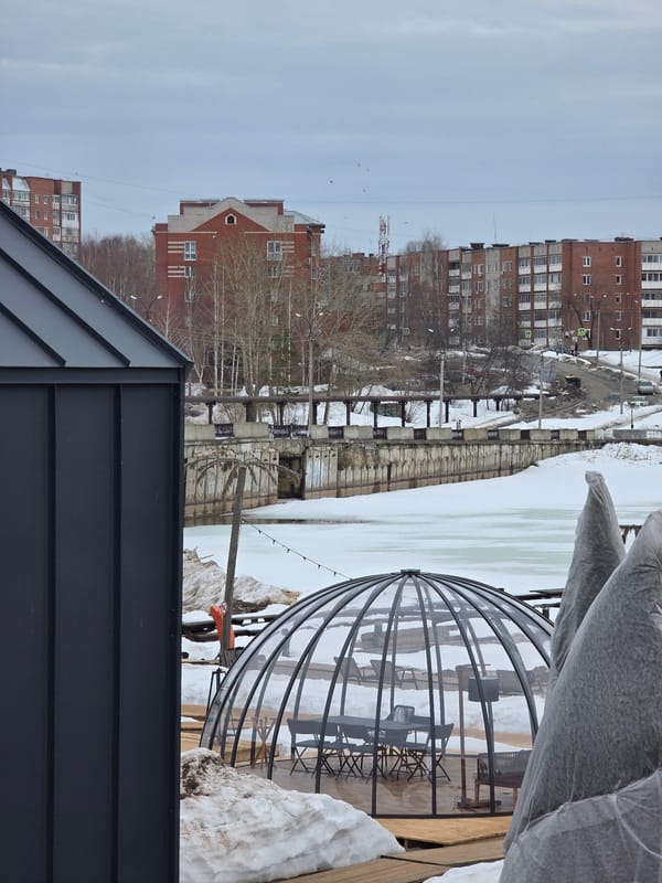 Woman documents winter outing at Votkinsk Reservoir with selfies