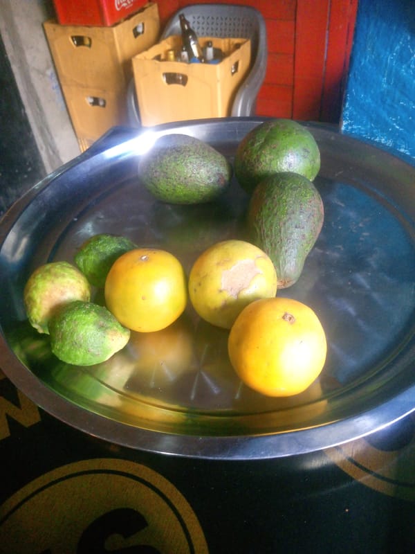 Fresh avocados and oranges displayed on tray in Nairobi