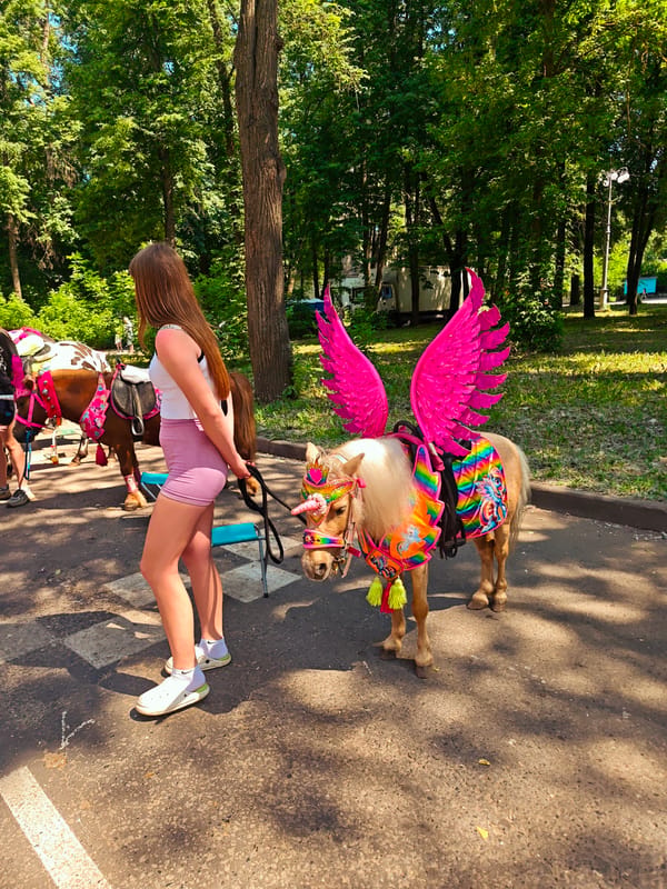 Festive outdoor market with decorated animals operates in Kimry, Russia