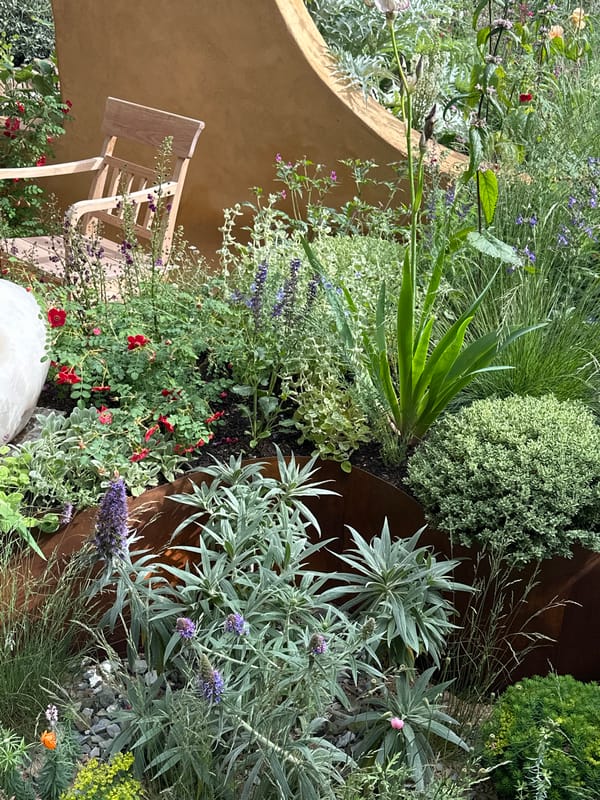 London gardens documented in coordinated photography session