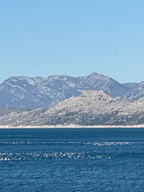 Day with dog documented in coastal Montenegro village