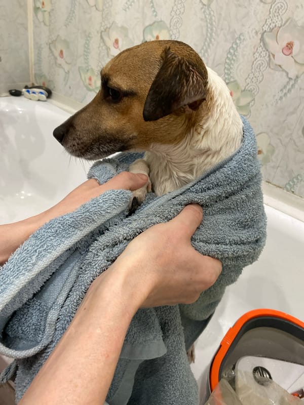 Theater performance and daily life documented in Russian town