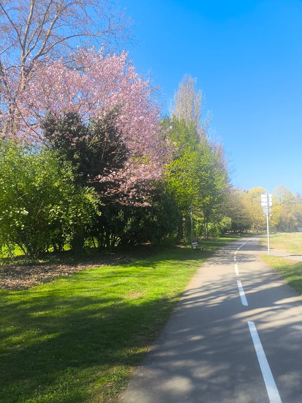 Morning scenes from Strasbourg park pathways and canal