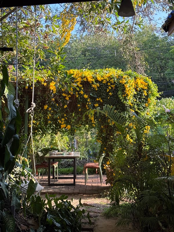Morning leisure moments captured in tropical Choeng Thale garden