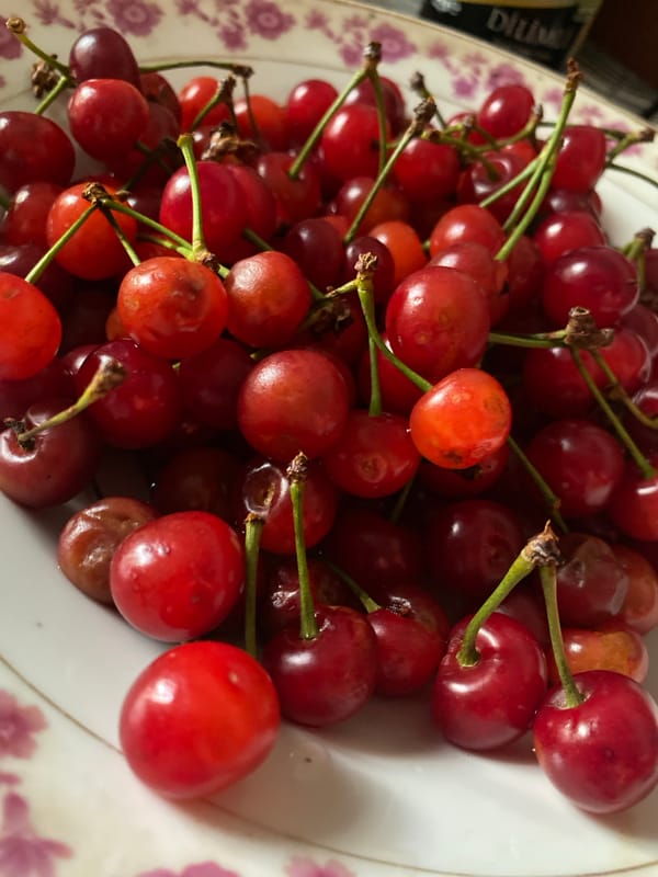 Fresh cherries and pancakes laid out in Almaty