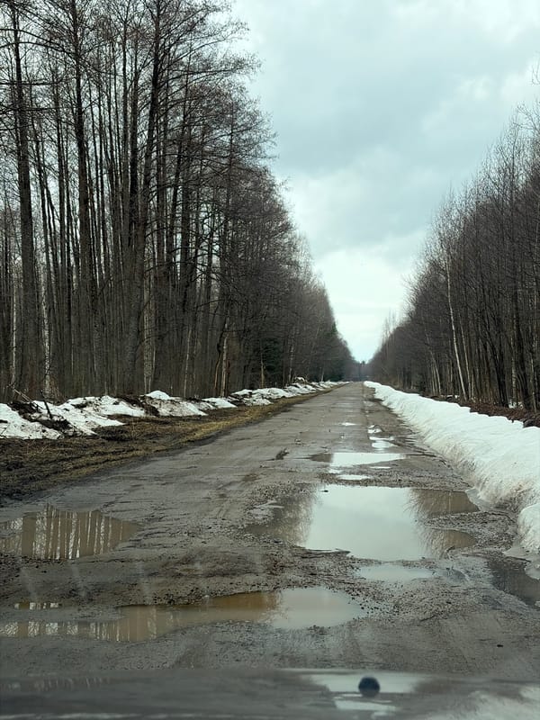 Spring thaw conditions observed on forest road in Chernushka
