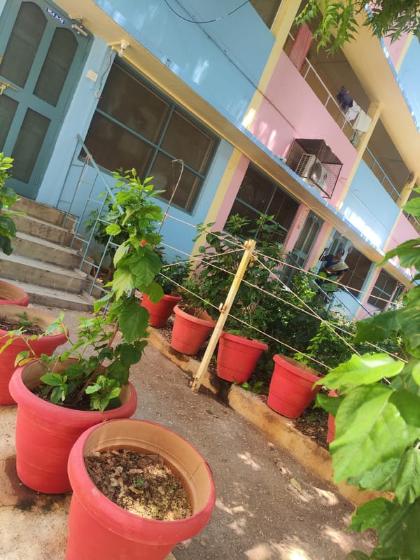 Morning cleanup operations documented in Puttaparthi, India