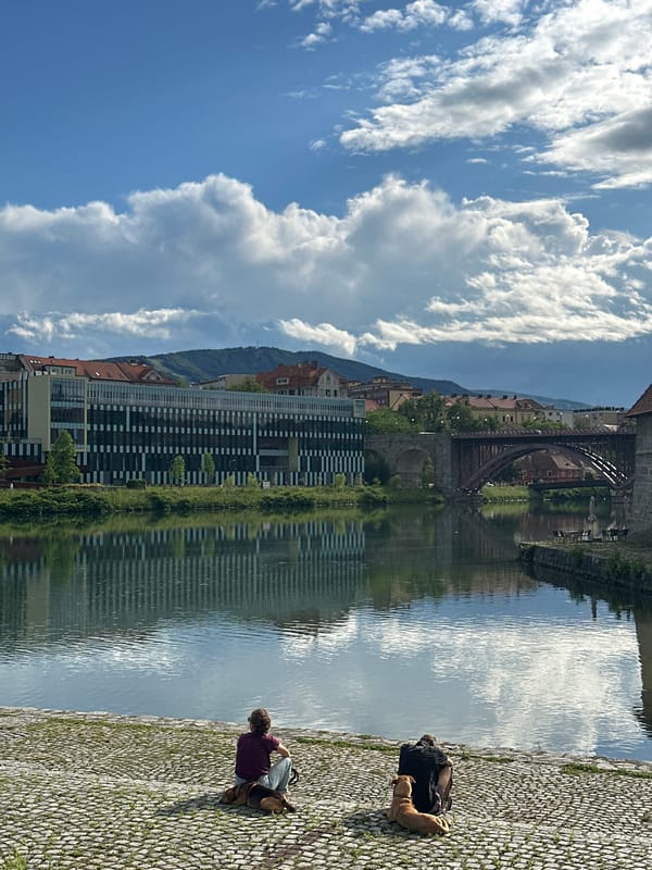 Person and dog rest along Drava riverbank in Maribor