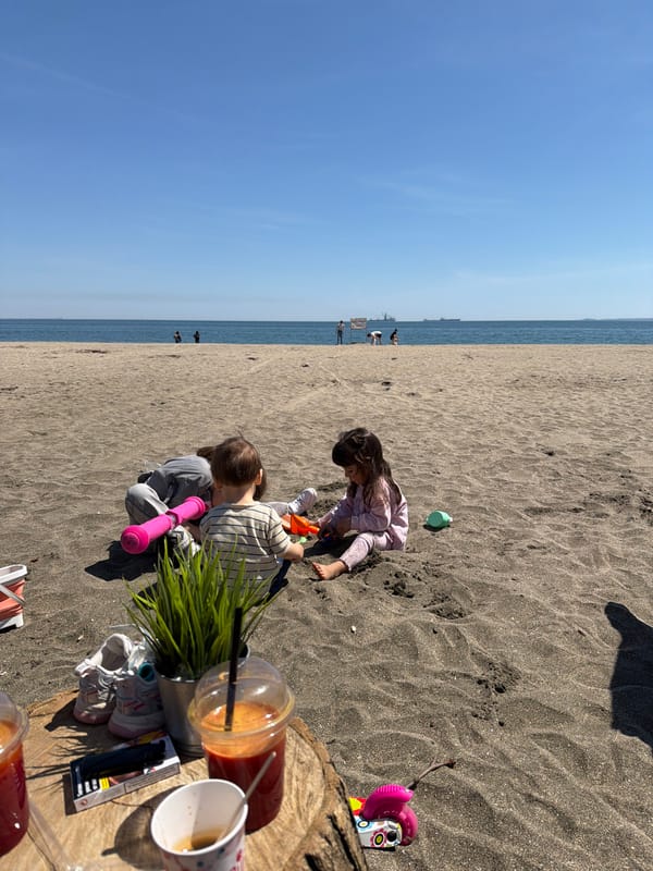 Spring morning coastal life documented across beaches and neighborhoods