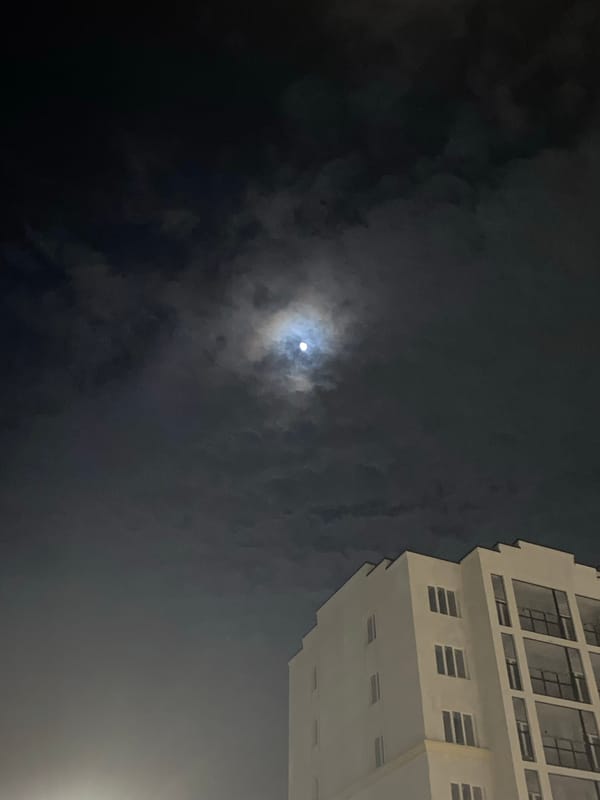 Nighttime urban scenes captured in Chemoshur, Russia