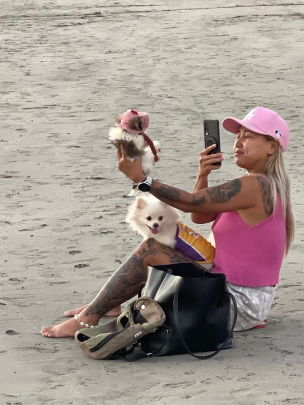 Kuta Beach sunset: dogs, a leashed monkey, and golden hour