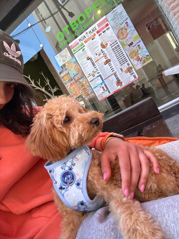 Diners share pizza with golden doodle at Blagoevgrad restaurant